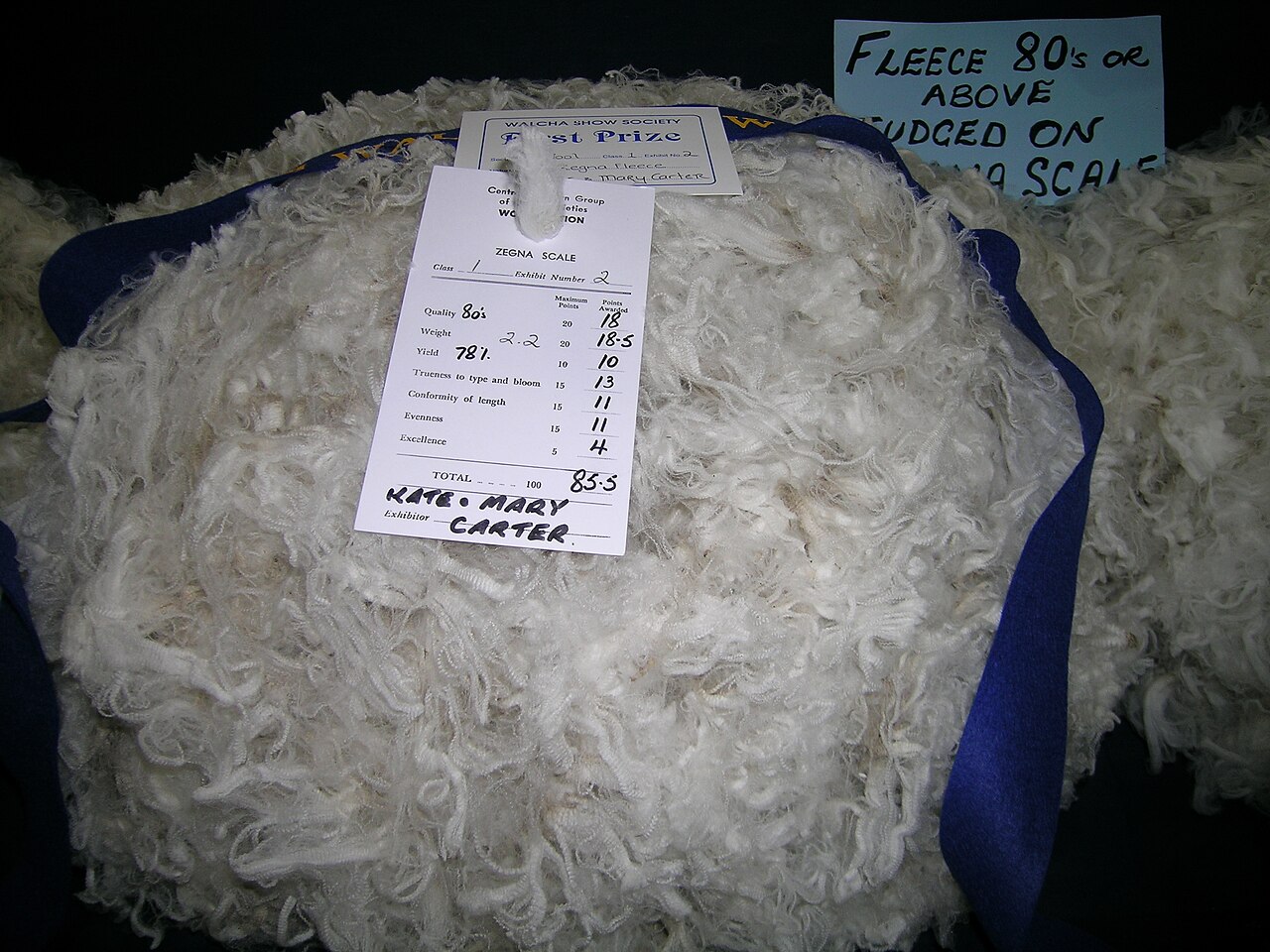 Zegna fleece